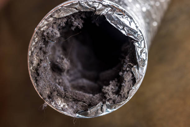 Best Air Duct Cleaning Near Me  in Laguna Park, TX