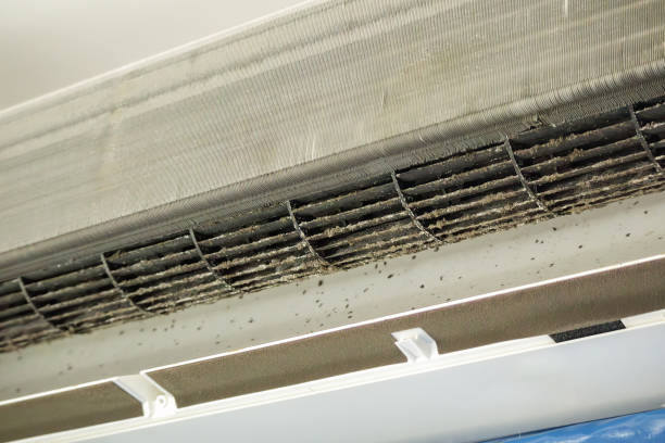 Best Professional Duct Cleaning Services  in Laguna Park, TX